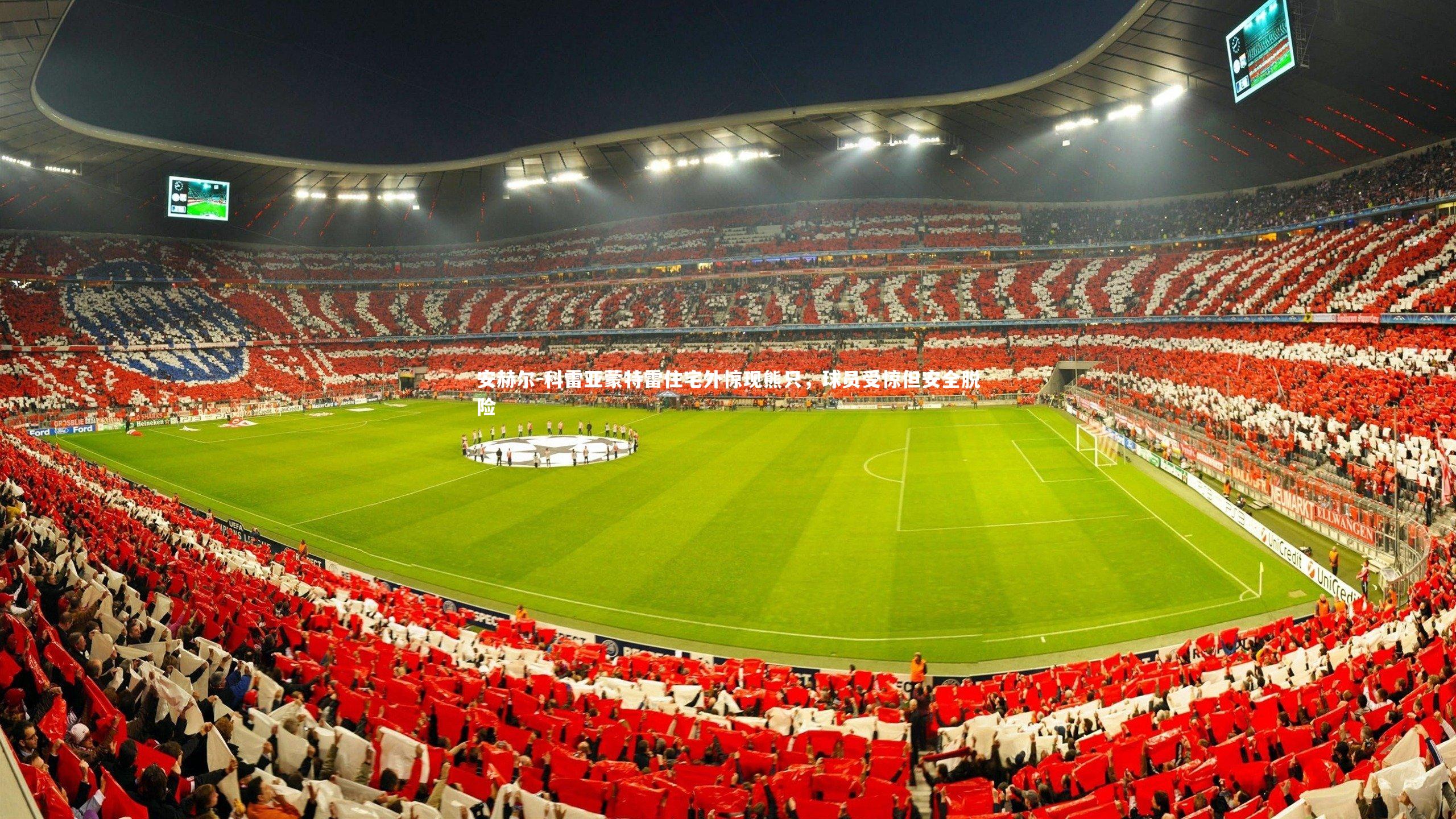 安赫尔-科雷亚蒙特雷住宅外惊现熊只，球员受惊但安全脱险